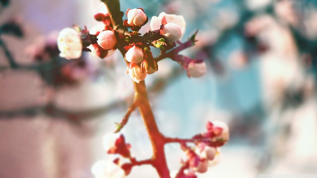 【欣云搞笑推荐】发自内心感慨的说说，句句经典至极，送给努力拼搏的你