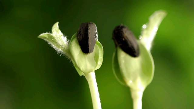 【欣云搞笑推荐】发自内心感慨的说说，句句经典至极，送给努力拼搏的你