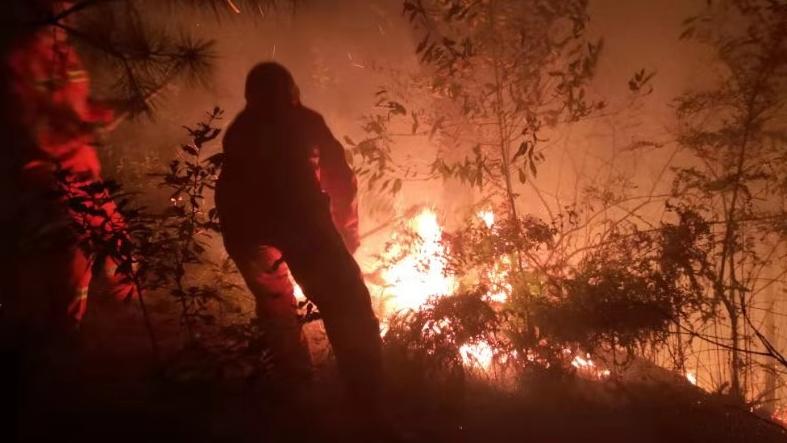 湖南衡东森林火灾过火面积4000余亩 暂无人员伤亡