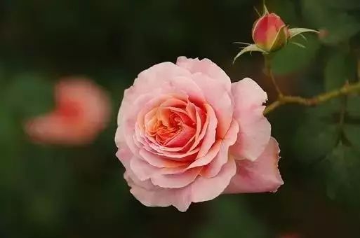 【历史看鉴视频】有能耐的人，这五种话就不会说，学到就是赚到