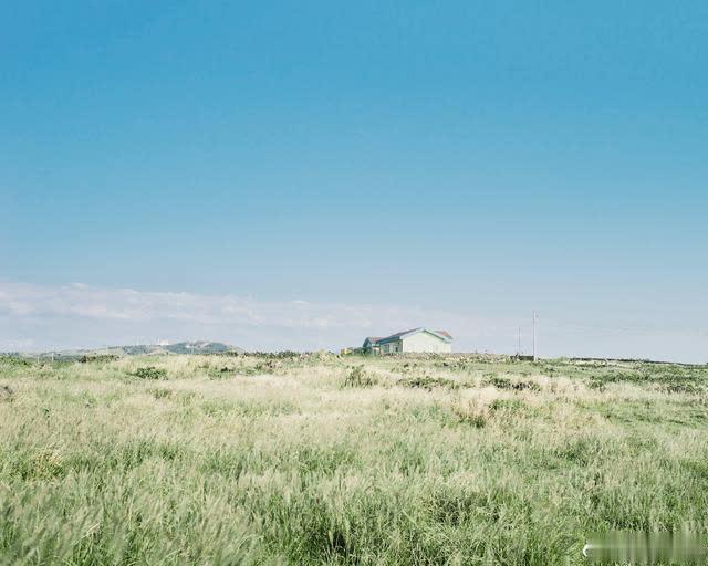 【旺仔牛奶不加奶】沐风行走，自在从容：作者夏风颜笔下英雄呵护与勇气独立