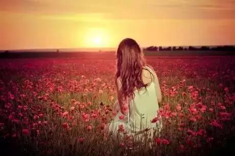 「美文鉴赏」人生，随缘吧