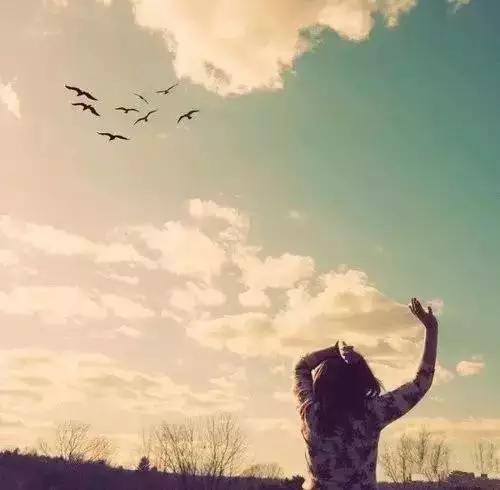 「美文鉴赏」人生，随缘吧