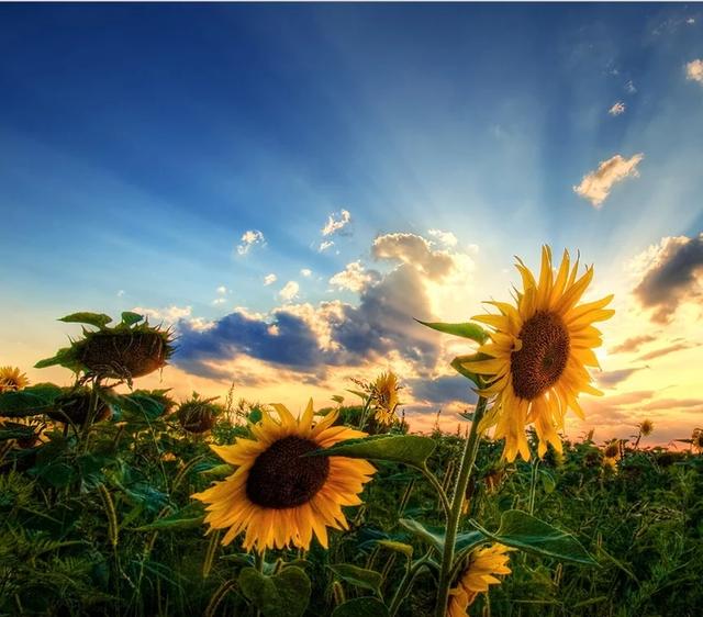 「校园留声机」我还是不找你了，免得你又笑话我离不开你