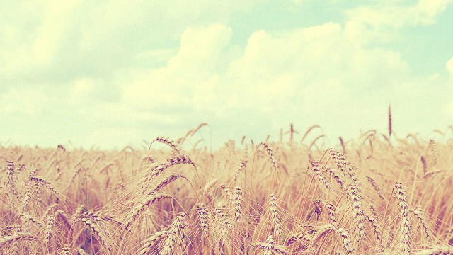 谈时尚的欣汝■心情失落的时候看一看，句句说心扉，送给寂寞的自己