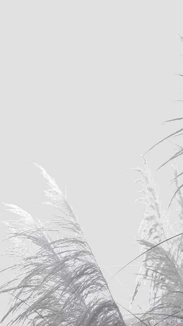 「文思泉涌」感谢每个阶段不同的自己