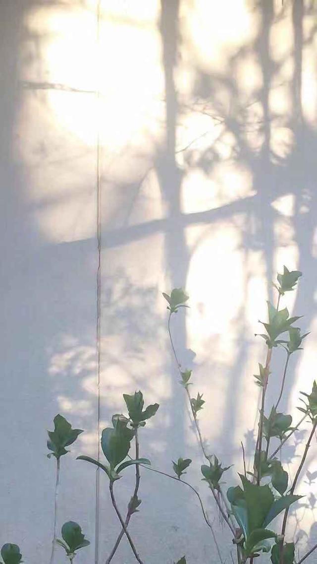 「文思泉涌」感谢每个阶段不同的自己