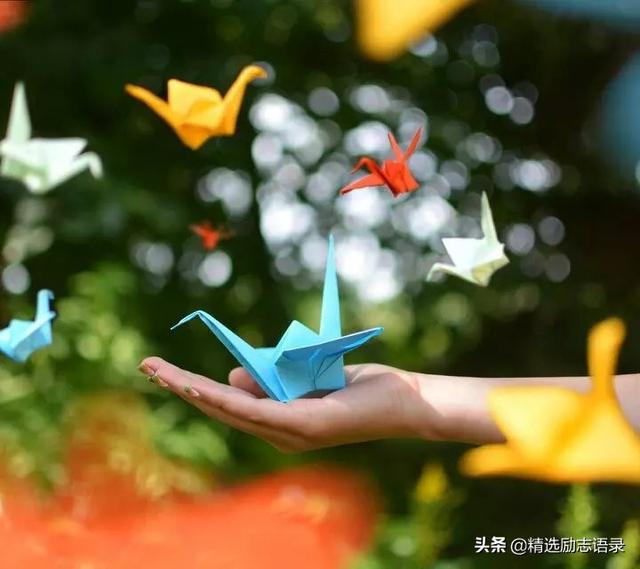 「老蒋书房」够不够朋友，自己分，自己瞅