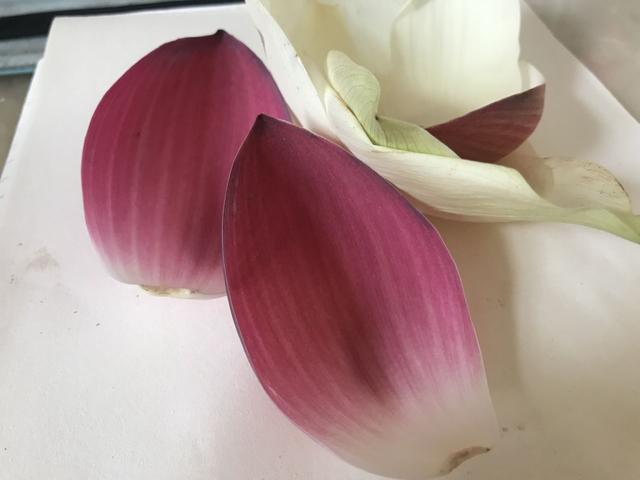 #文思泉涌#不要把太多的事参与生活，安静地努力，慢慢靠近想要的样子，就好