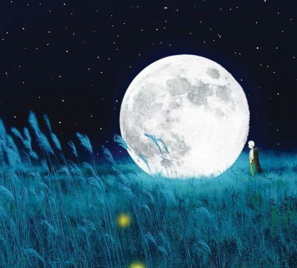 [小鹿樱花]男人有这几个表现，说明根本不在乎你，女人别再卑微了