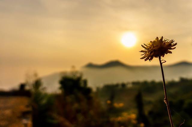 [佳作有约]世间最珍贵的，不是“得不到”和“已失去”