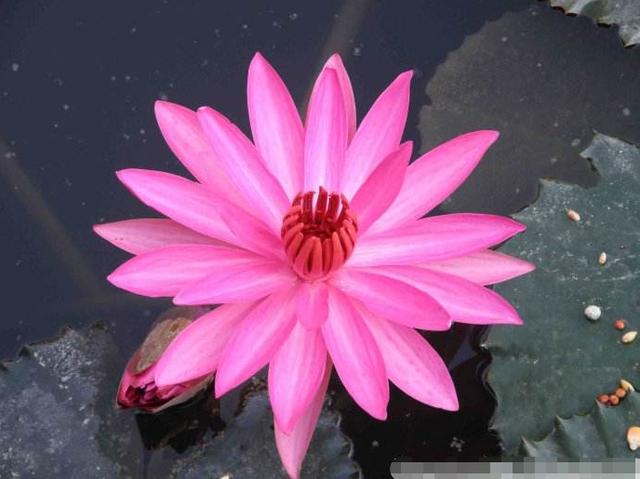 【感悟哲理美文】心存善意，福报已经在路上