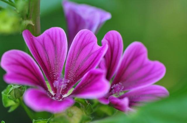 【感悟哲理美文】心存善意，福报已经在路上