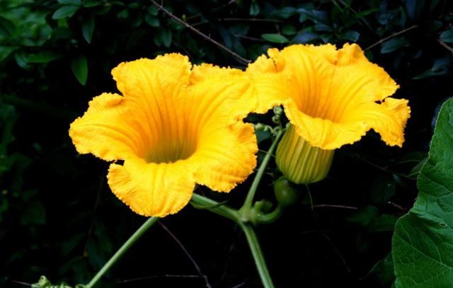 【感悟哲理美文】心存善意，福报已经在路上