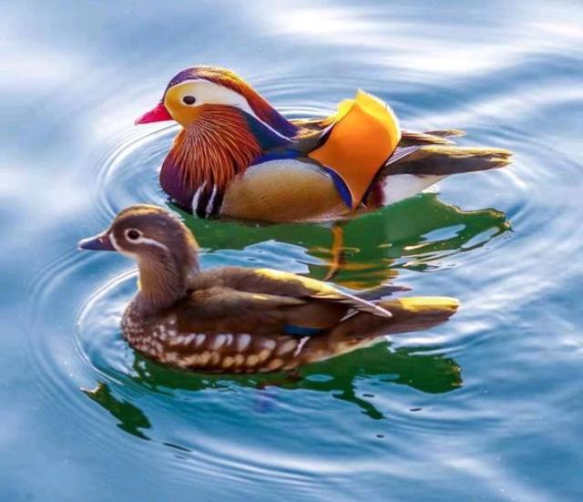 樵夫侃文化■人到中年，遇人三不言，遇事三不语，遇境三不为！