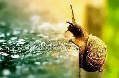 樵夫侃文化■人到中年，遇人三不言，遇事三不语，遇境三不为！