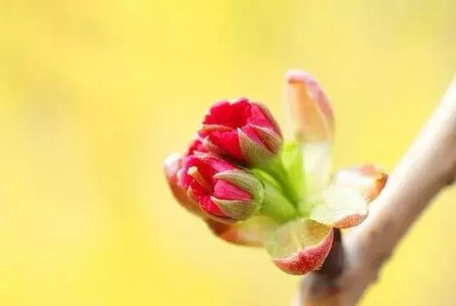 老蒋书房■善待自己，不被别人左右