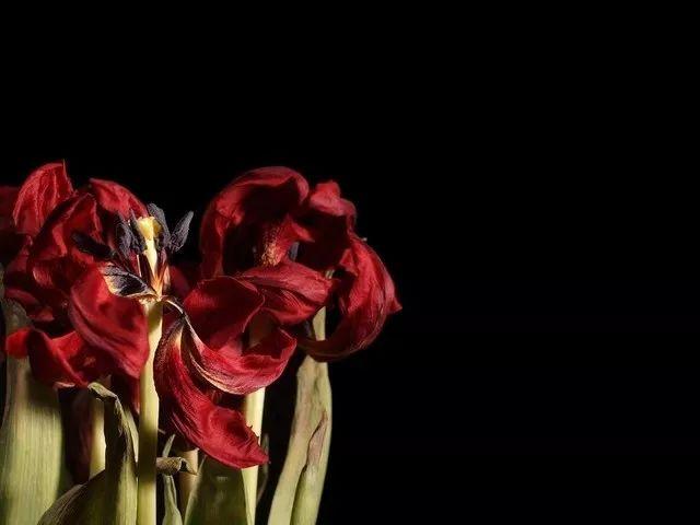 [华大心理]太重感情的人，注定会越爱越孤独