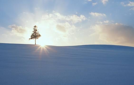 「秋叶大叔」一个真正善良聪明的人，身上往往有3种“锋芒”，人生不会吃亏