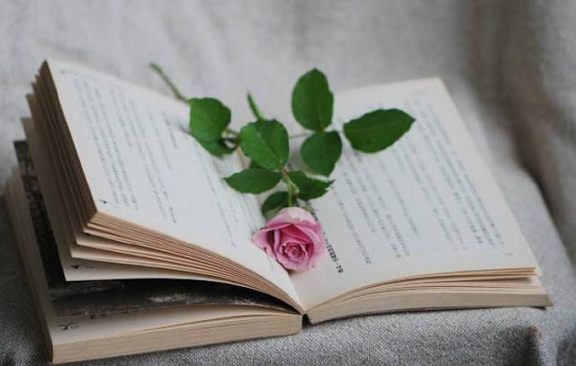 「秋叶大叔」一个真正善良聪明的人，身上往往有3种“锋芒”，人生不会吃亏