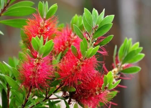 强强联手在乐趣■努力是好事，但逞能却是对自己的一种刻薄