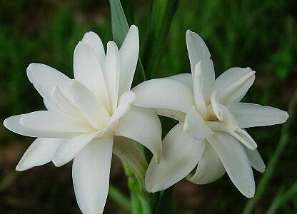 强强联手在乐趣■努力是好事，但逞能却是对自己的一种刻薄