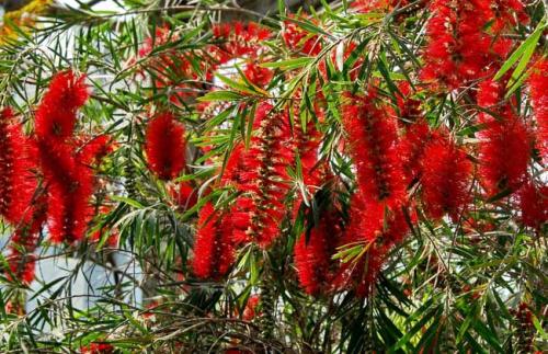 【强强联手在乐趣】把自己当成配角，就不会活得那么累