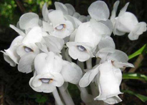 【强强联手在乐趣】把自己当成配角，就不会活得那么累