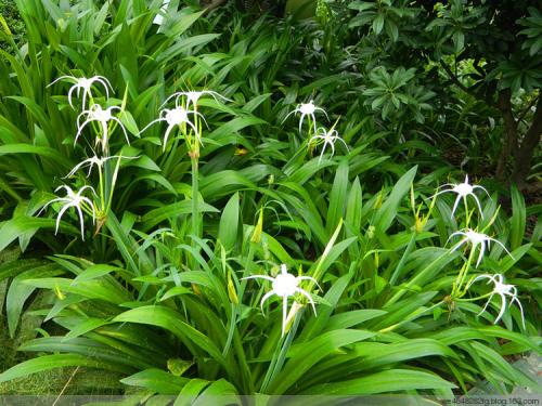 【强强联手在乐趣】把自己当成配角，就不会活得那么累