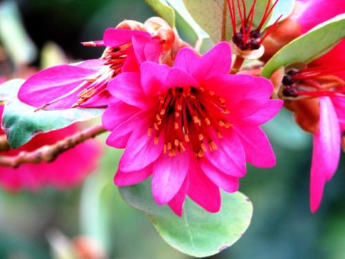 #强强联手在乐趣#总有一天，命运会千里迢迢赶来眷顾你