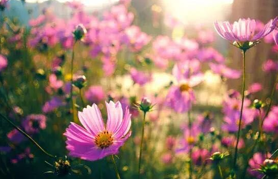 吴下阿蒙2■有这些习惯的男人，往往会越过越没钱