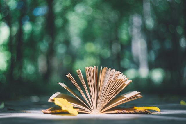 佳作有约：你迟早会明白，真正厉害的人，往往少言寡语