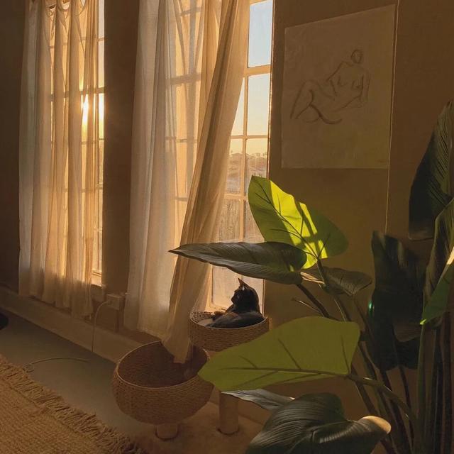 #校园留声机#穷习惯了就无法做到断舍离？