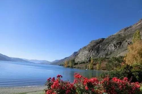 「校园留声机」谢谢你爱我，亲爱的弟弟