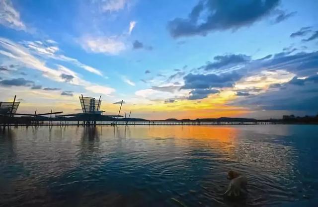 「校园留声机」谢谢你爱我，亲爱的弟弟