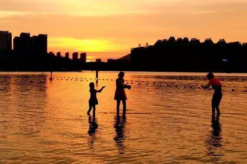 「校园留声机」谢谢你爱我，亲爱的弟弟