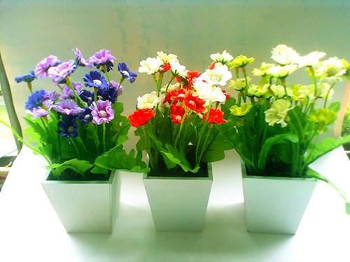 「与往事干杯」有修养的人，说话时候能控制自己的音量