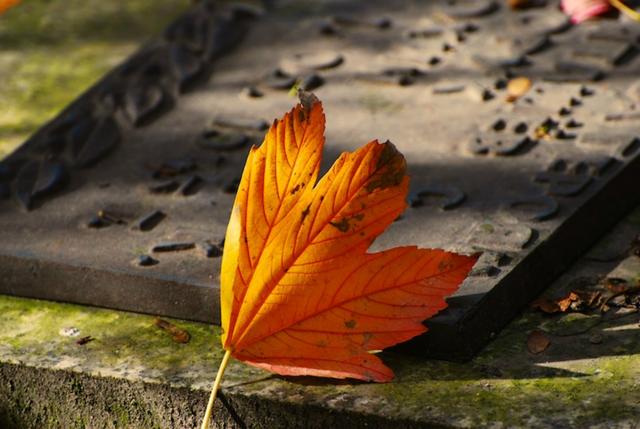 「西厢有情」想通了，看开了，就不会为难自己了