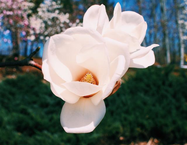 「西厢有情」想通了，看开了，就不会为难自己了