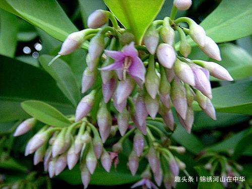 「锦绣河山在中华」把你从心里不愿意做的事情做得漂亮