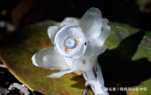 「锦绣河山在中华」把你从心里不愿意做的事情做得漂亮