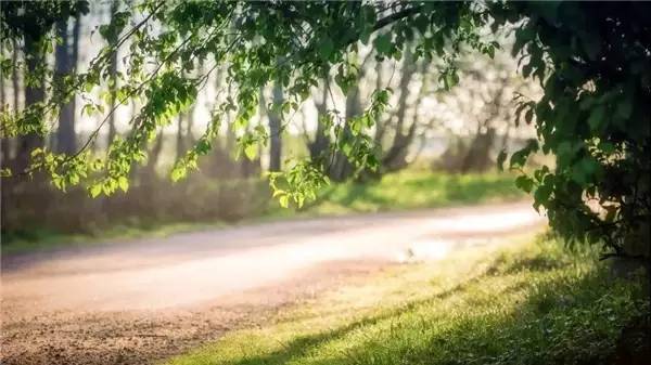 #狐狸未成妖1#取悦自己，才是人生最大的幸福