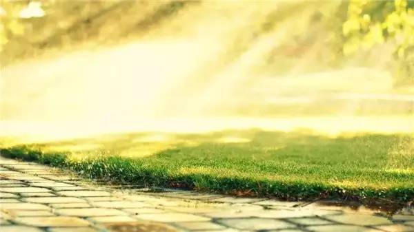 #狐狸未成妖1#取悦自己，才是人生最大的幸福