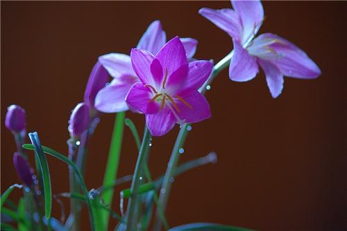 「芳芳的趣味世界」无论多别扭，你都要学会抽身而退