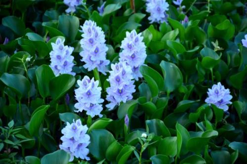 「芳芳的趣味世界」无论多别扭，你都要学会抽身而退