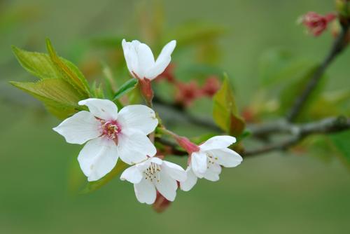 「芳芳的趣味世界」你不可能什么都得到，所以，生活中应该学会放弃