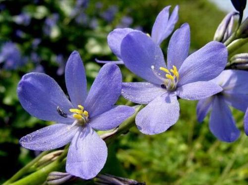 「芳芳的趣味世界」你不可能什么都得到，所以，生活中应该学会放弃