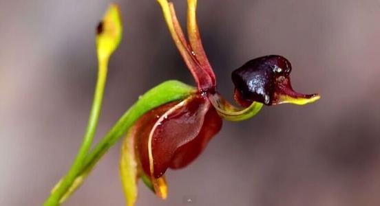 芳芳的趣味世界@人生也像飞行，做好自己事，莫管他人言