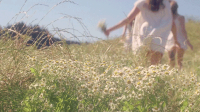 [子衿解语]这样回你微信的人，就是瞧不起你