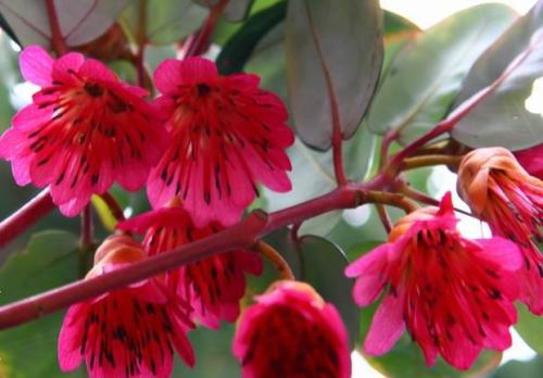 「芳芳的趣味世界」有些人，有些事，该放手就要放手